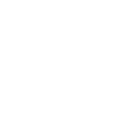 br333 icon