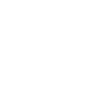 br333 icon