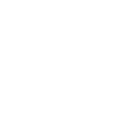 br333 icon