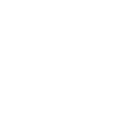 br333 icon
