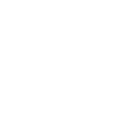 br333 icon